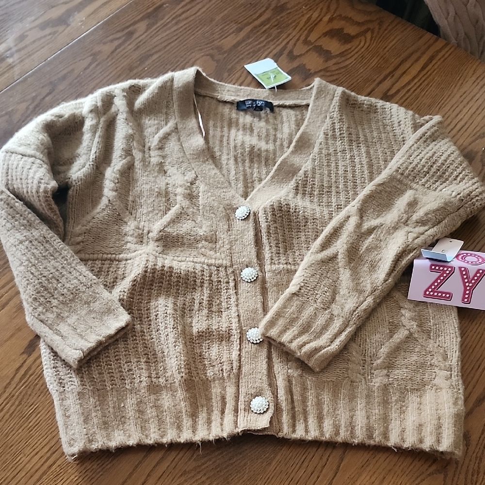 Cozy Tan Holiday Sweater